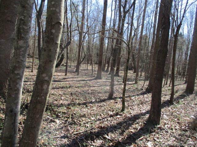10020 Hambright Road - Photo 1