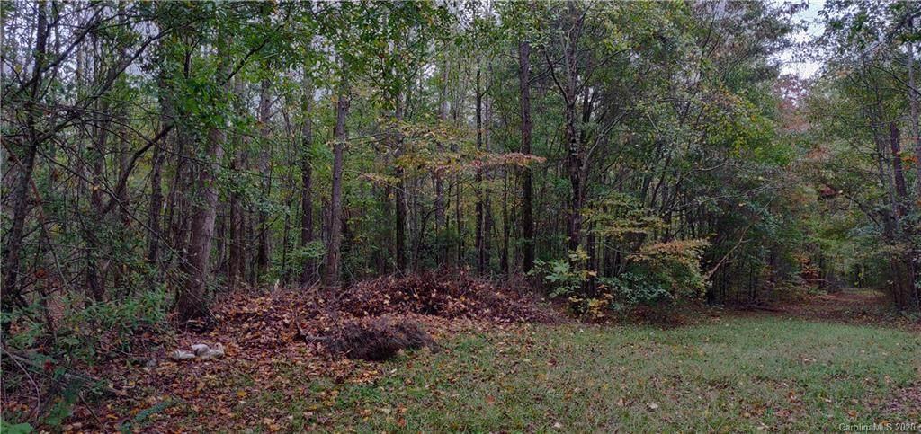 5224 Mt Holly Huntersville Road - Photo 1