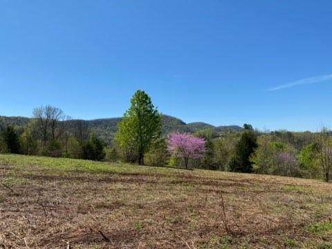 2274 Seminole Way - Photo 1