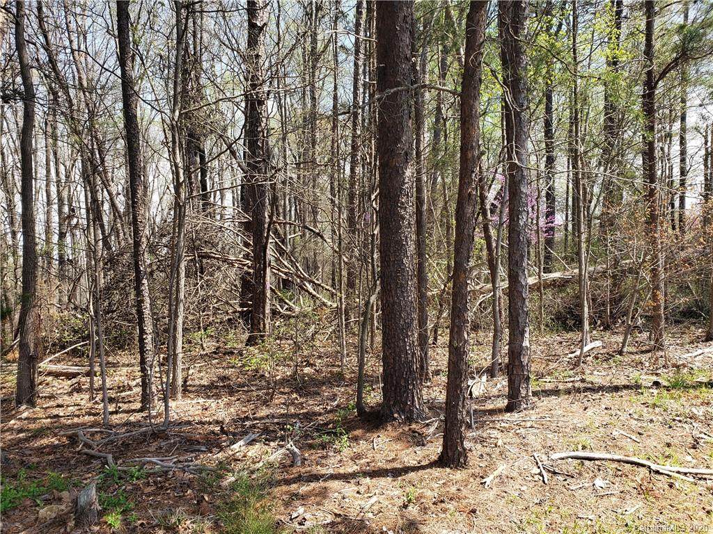 20416 Shearer Road - Photo 1