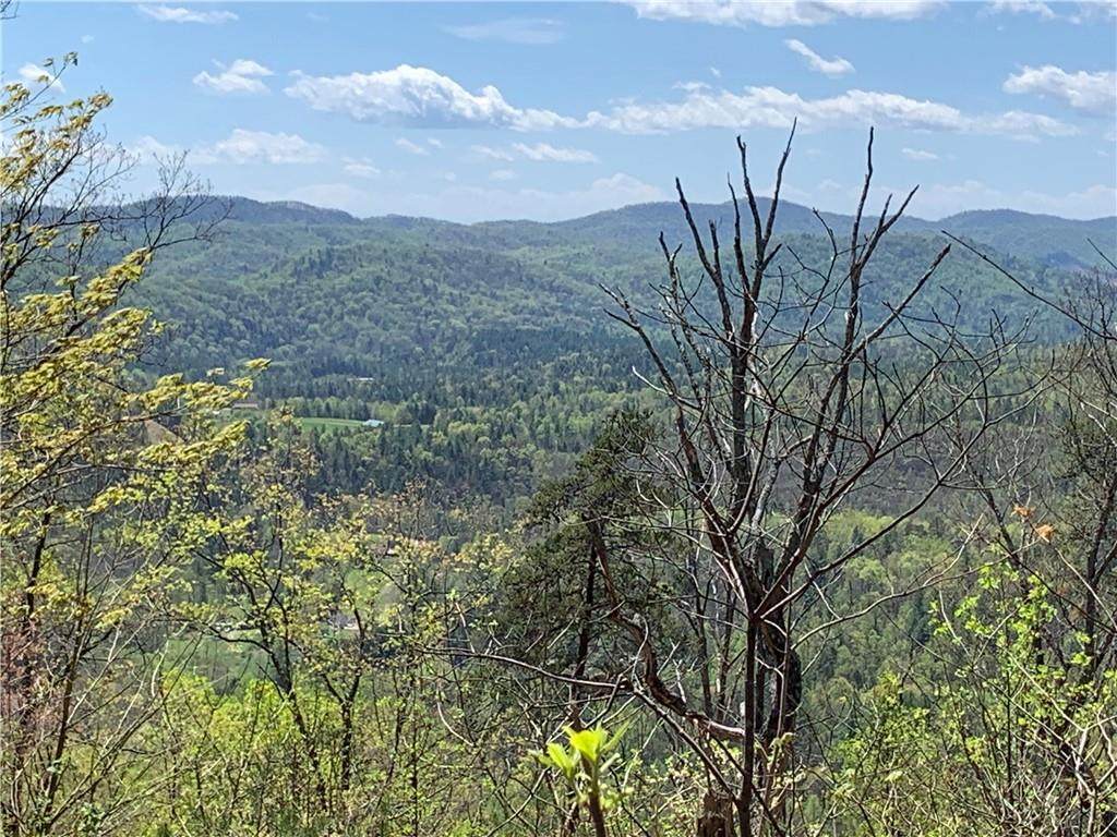 TBD Elk Mountain Lane - Photo 1