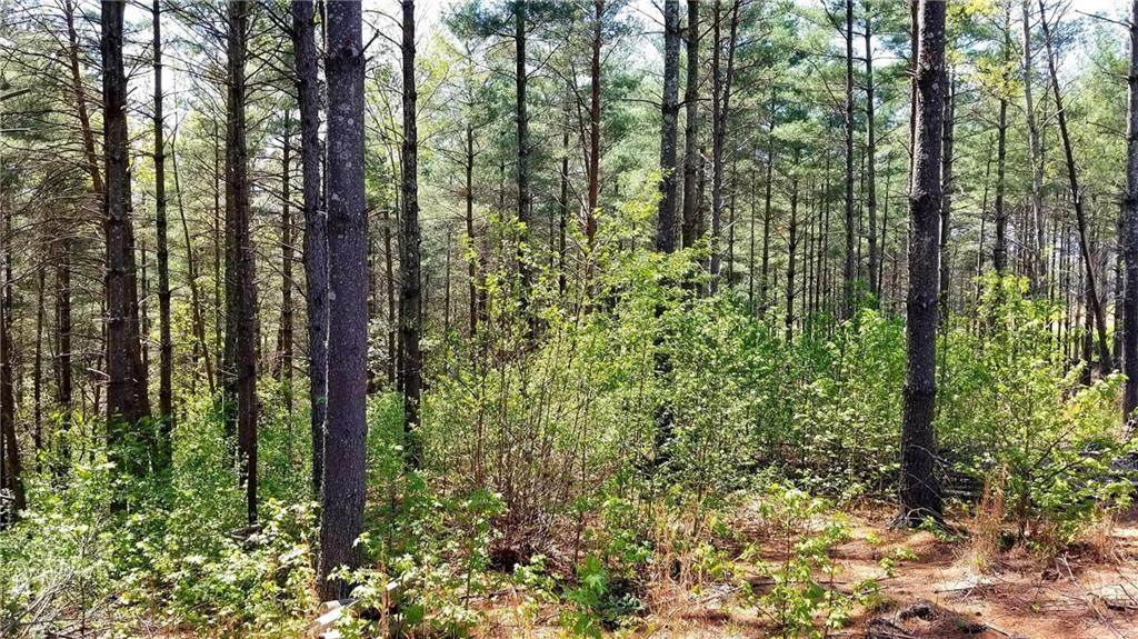 0 Pine Ridge Drive - Photo 1