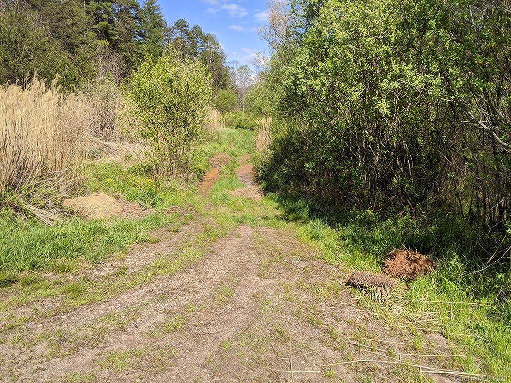 00000 Higgins Road - Photo 1