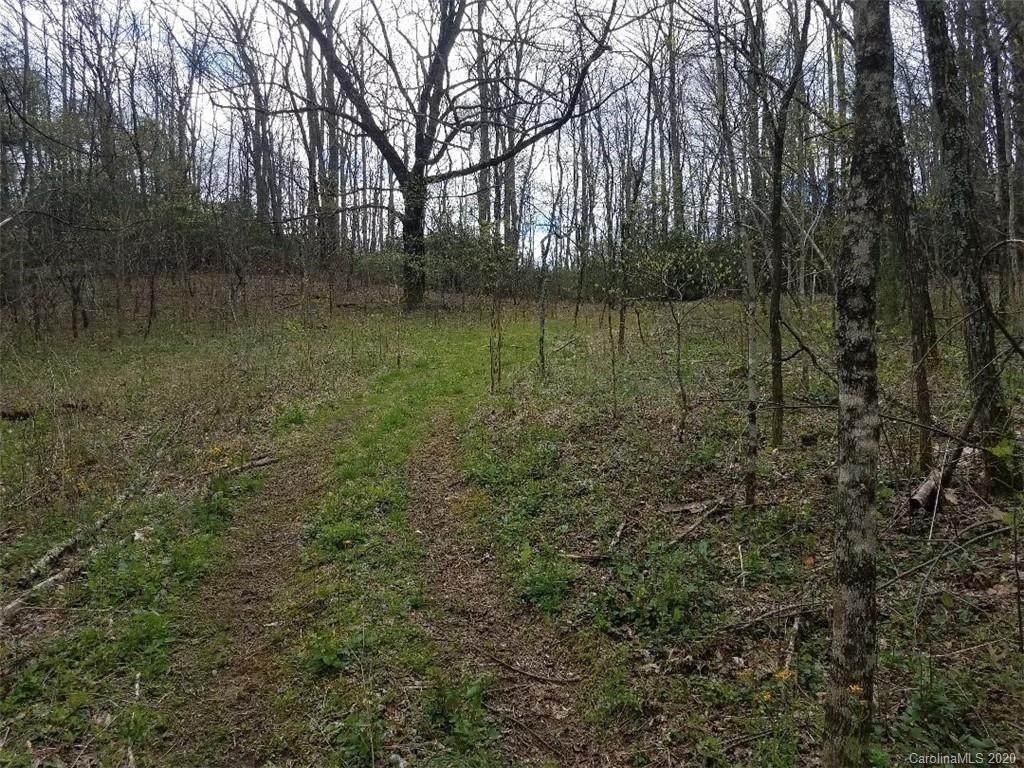 TBD Bantam Branch Road - Photo 1 TBD Bantam Branch Road - Photo 1
