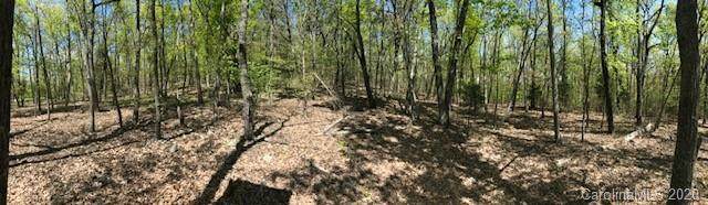000 Young Mountain Road - Photo 1