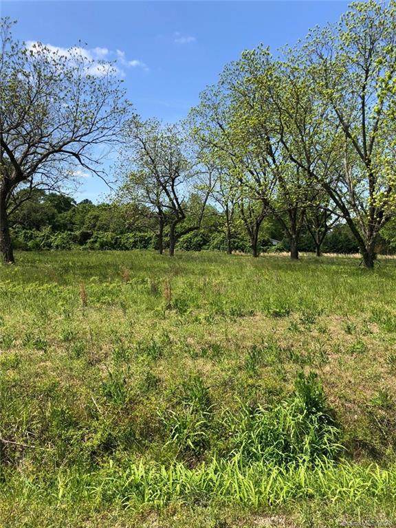 00 Bush Trail - Photo 1