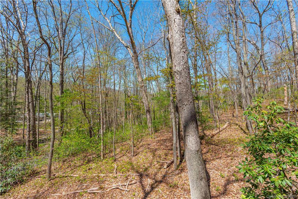 Lot 6&7 Lundy Lane - Photo 1 Lot 6&7 Lundy Lane - Photo 1