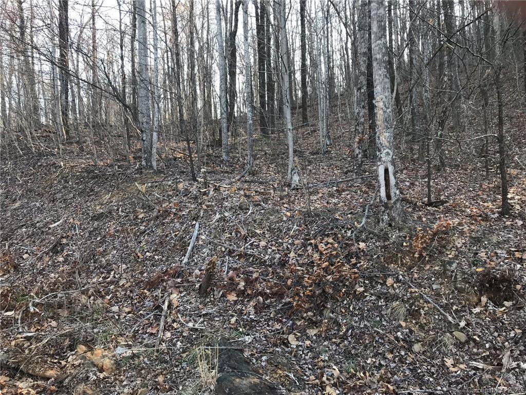 0 Doubleview Drive - Photo 1