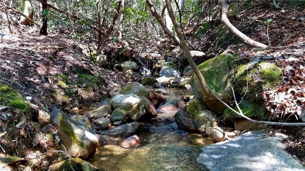0 Deer Ridge Trail - Photo 1 0 Deer Ridge Trail - Photo 1