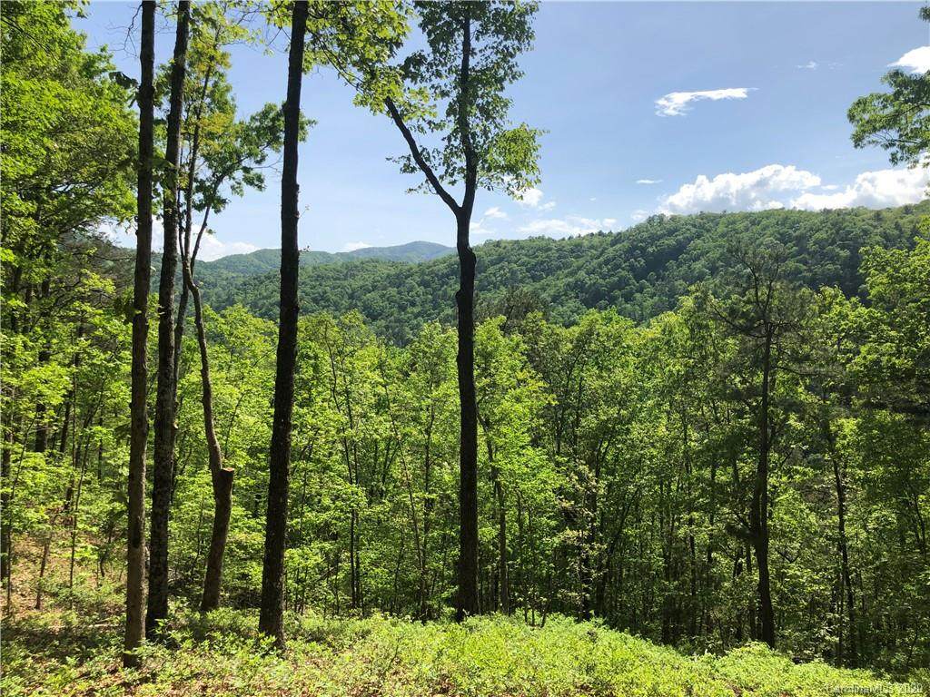 29 Wild Turkey Loop - Photo 1 29 Wild Turkey Loop - Photo 1