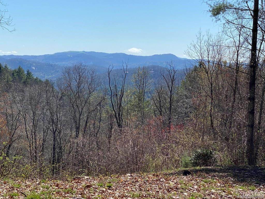 00 Salt Rock Road - Photo 1