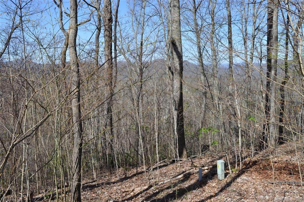 139 Rocky Knob Road - Photo 1