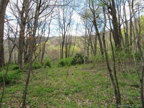 Lot 31 Triple Creek Drive - Photo 1 Lot 31 Triple Creek Drive - Photo 1