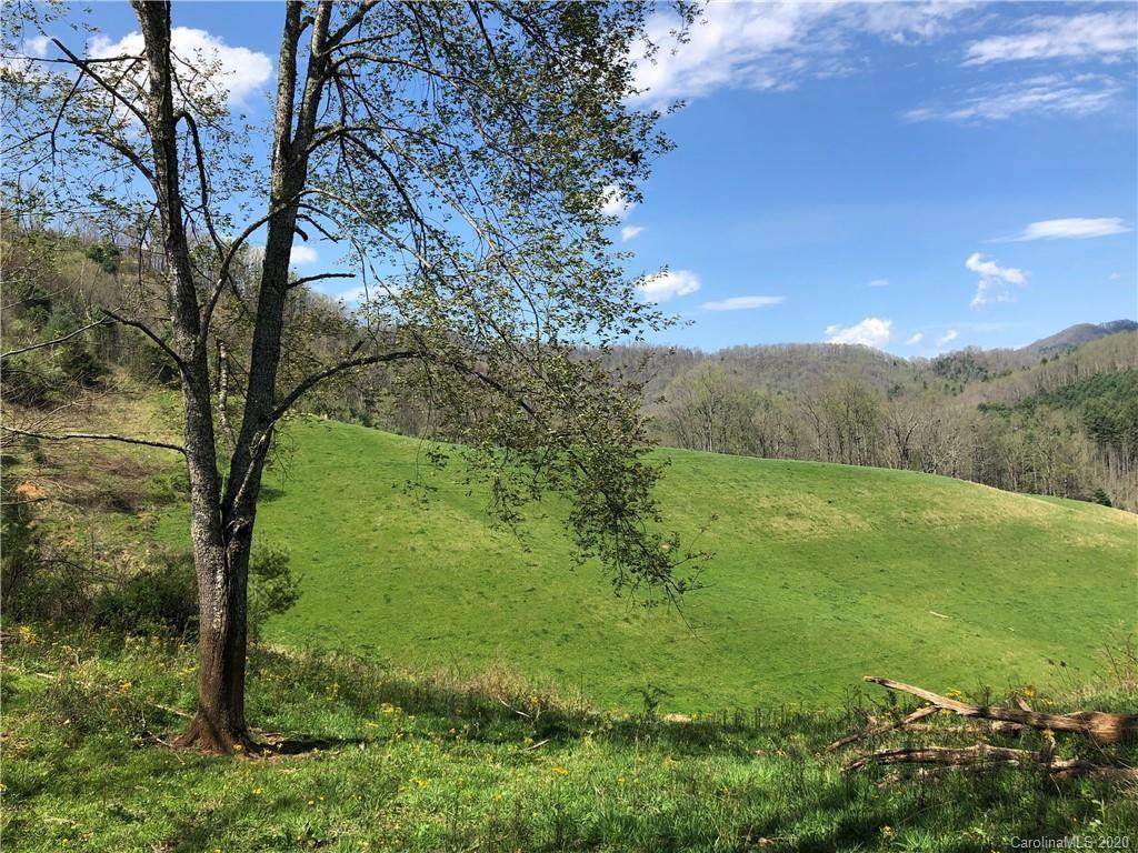 3129 a Us Hwy 19W Highway - Photo 1