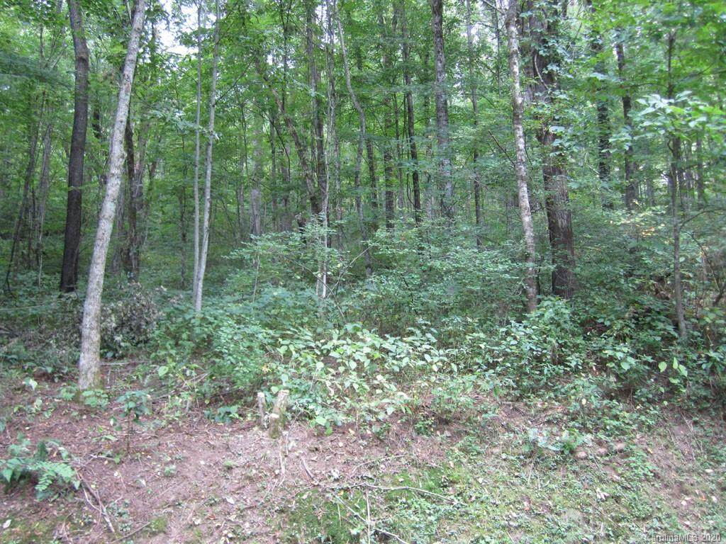 Lot 24 Tranquility Trail - Photo 1
