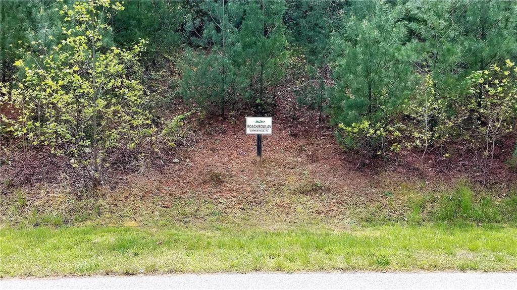 0 Round Mountain Parkway - Photo 1