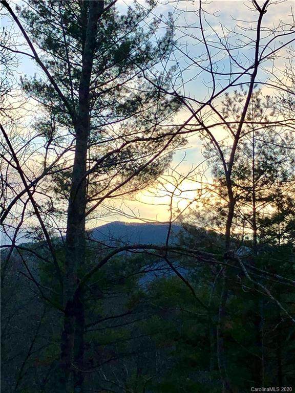 5557 Nc 209 Highway - Photo 1 5557 Nc 209 Highway - Photo 1