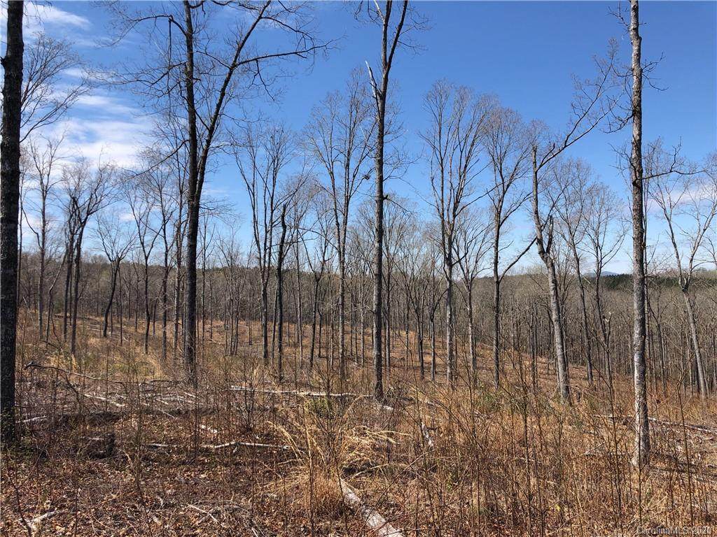 1341 State Road - Photo 1