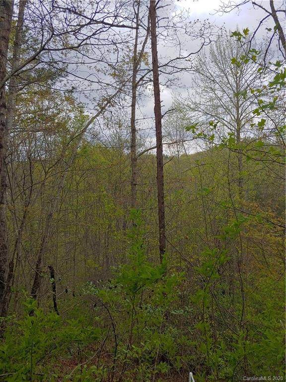 Lt 7 Booshway Mountain Road - Photo 1
