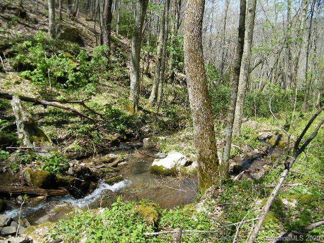 000 Ogles Gap Road - Photo 1