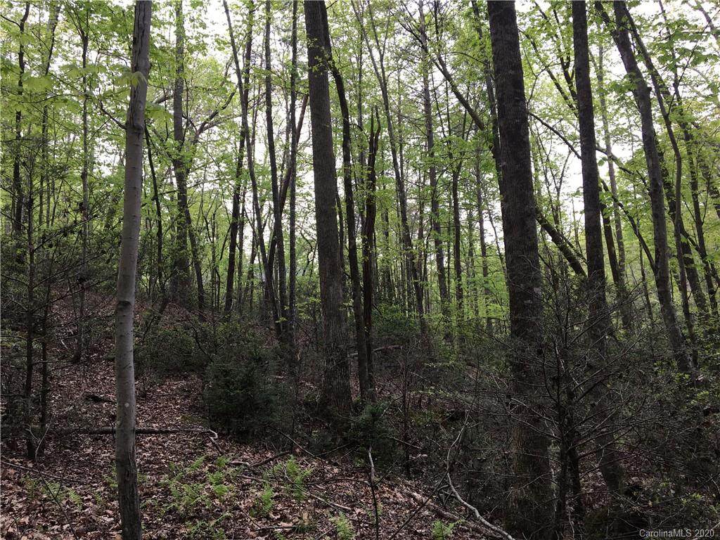 99999 Lake Wood Drive - Photo 1