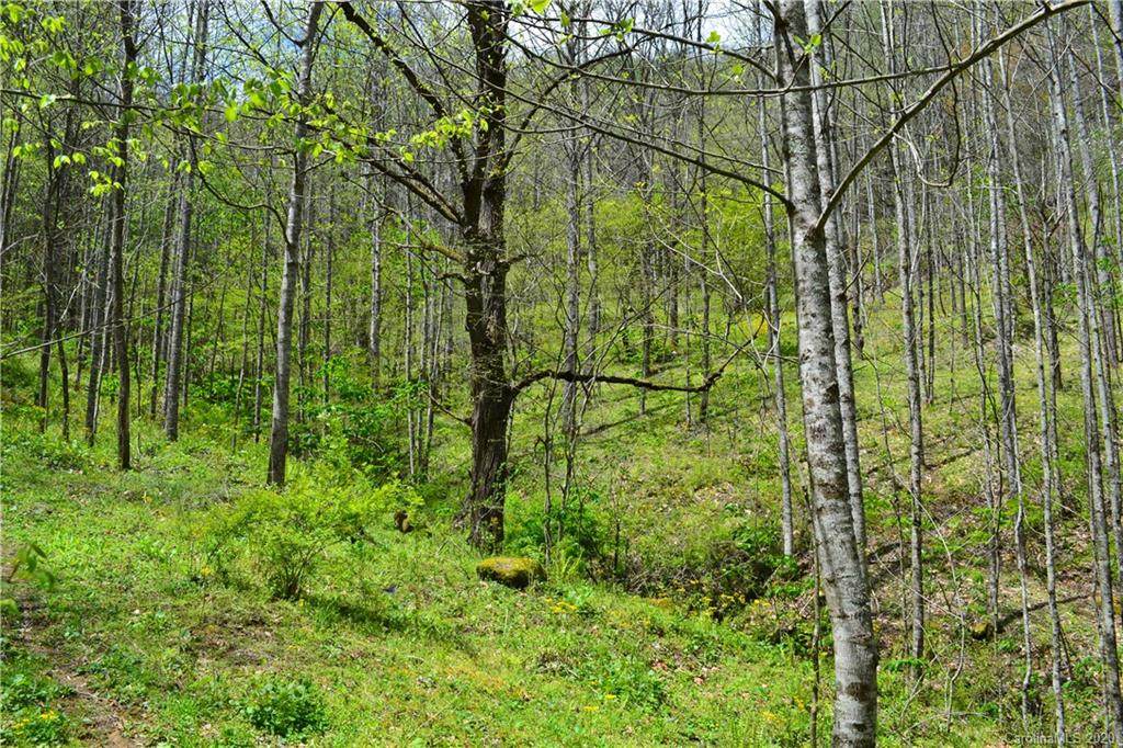 9999 Bald Mountain Road - Photo 1