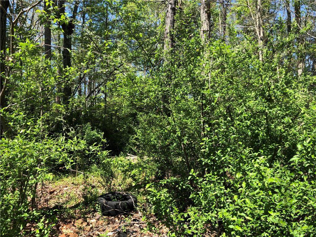 0 Cape Hickory Road - Photo 1 0 Cape Hickory Road - Photo 1
