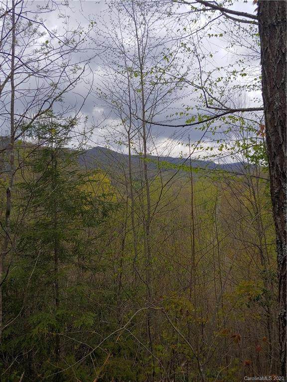 Lt 14 Booshway Mountain Road - Photo 1 Lt 14 Booshway Mountain Road - Photo 1