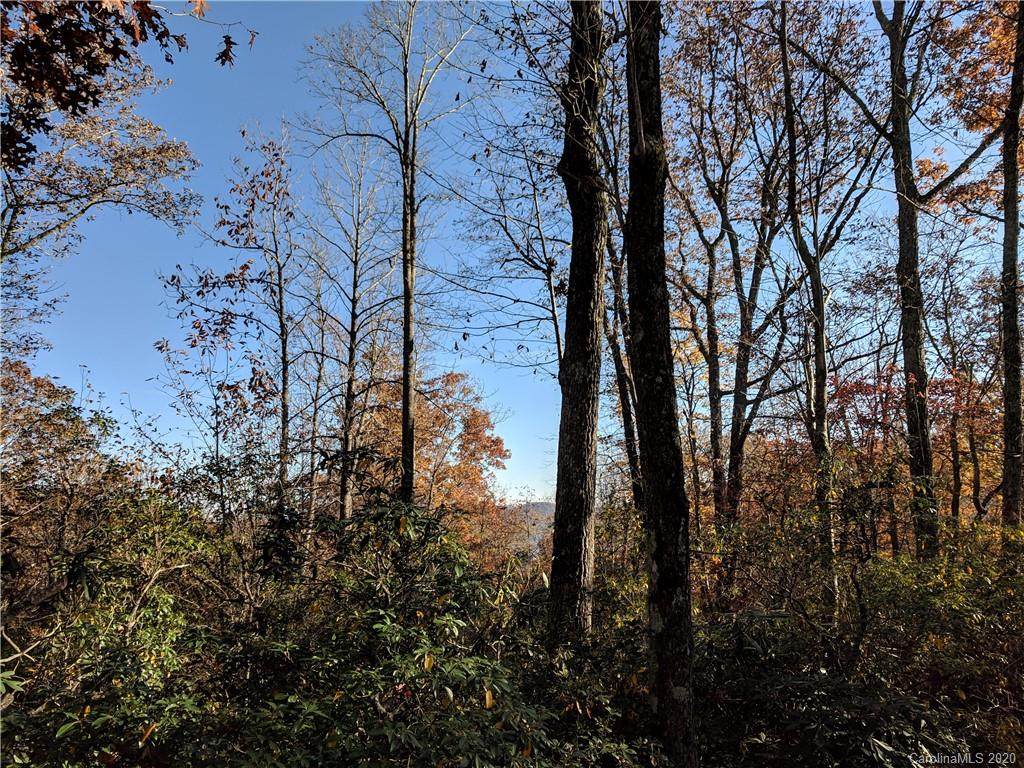 000 Rush Ridge Trail - Photo 1