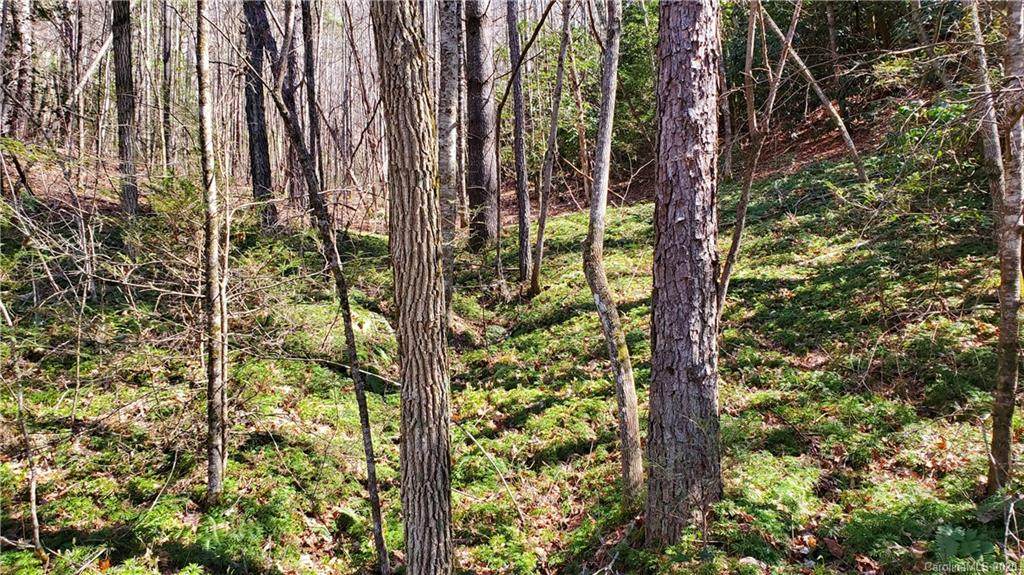 0000 Walnut Creek Road - Photo 1