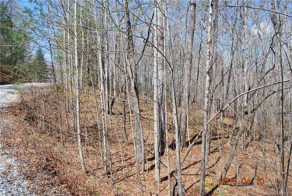Lots 8-11 Willow Creek Drive - Photo 1
