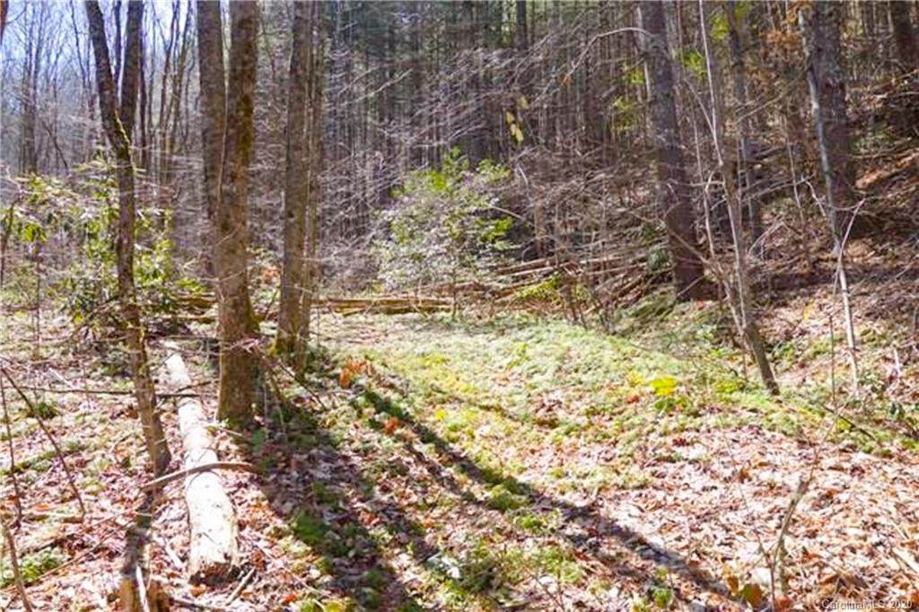 00 Kirklands Creek Road - Photo 1 00 Kirklands Creek Road - Photo 1