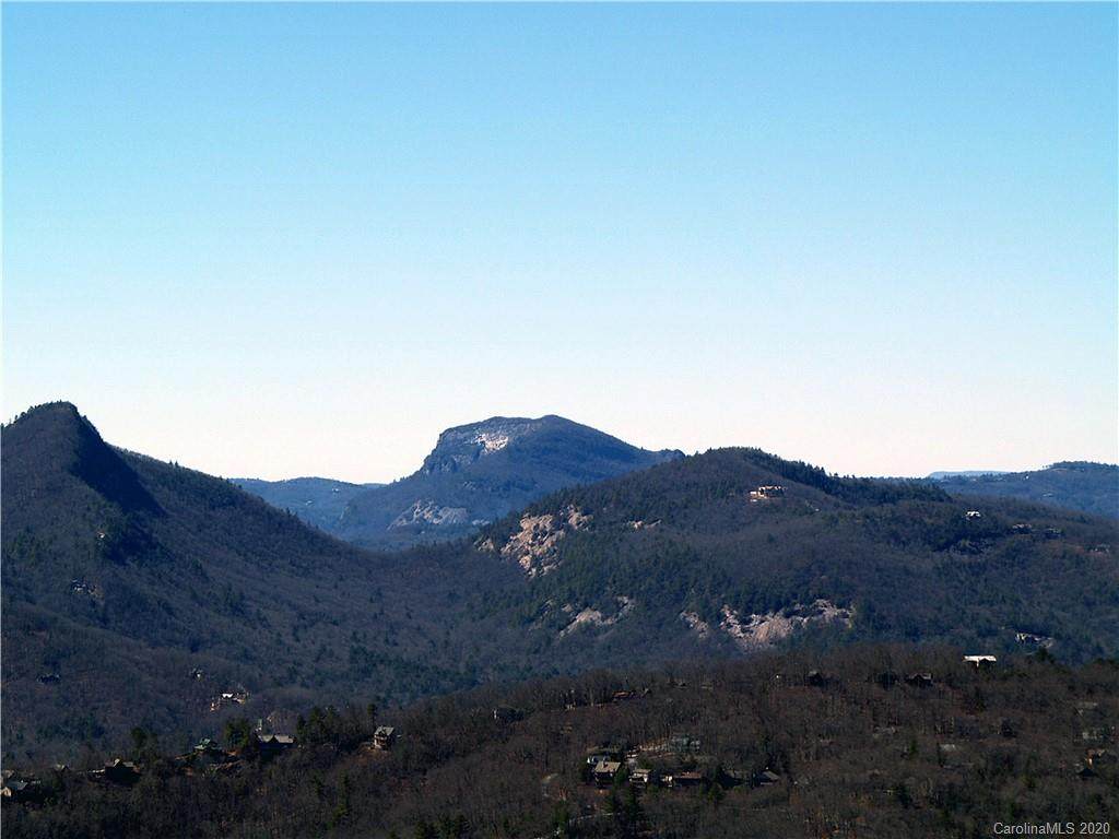 Lt. 10 Tiercel Trail - Photo 1
