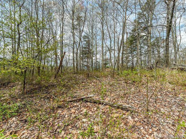 750 Hutch Mountain Road - Photo 1 750 Hutch Mountain Road - Photo 1