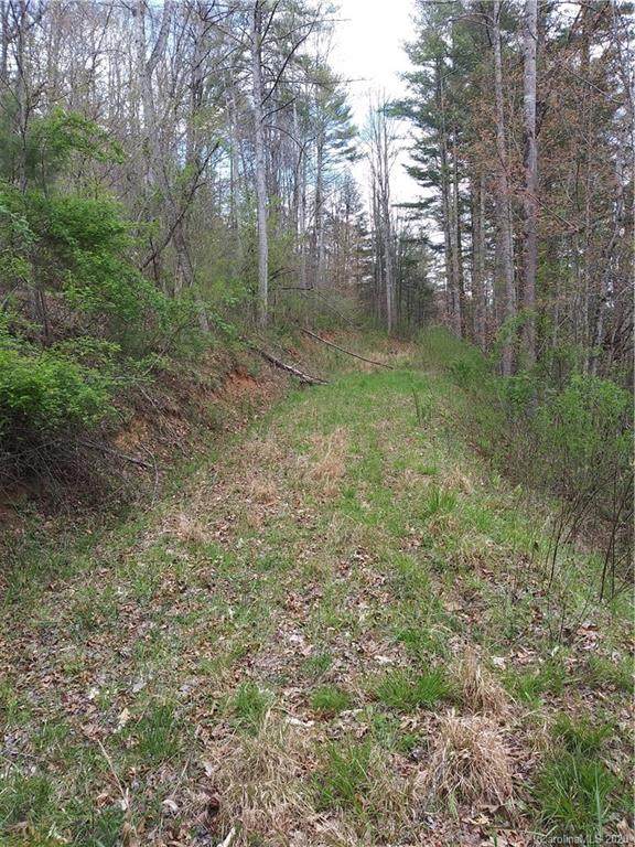 Lot 18 Trout Lily Trail - Photo 1