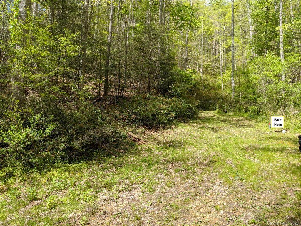 TBD Flynn Branch Road - Photo 1