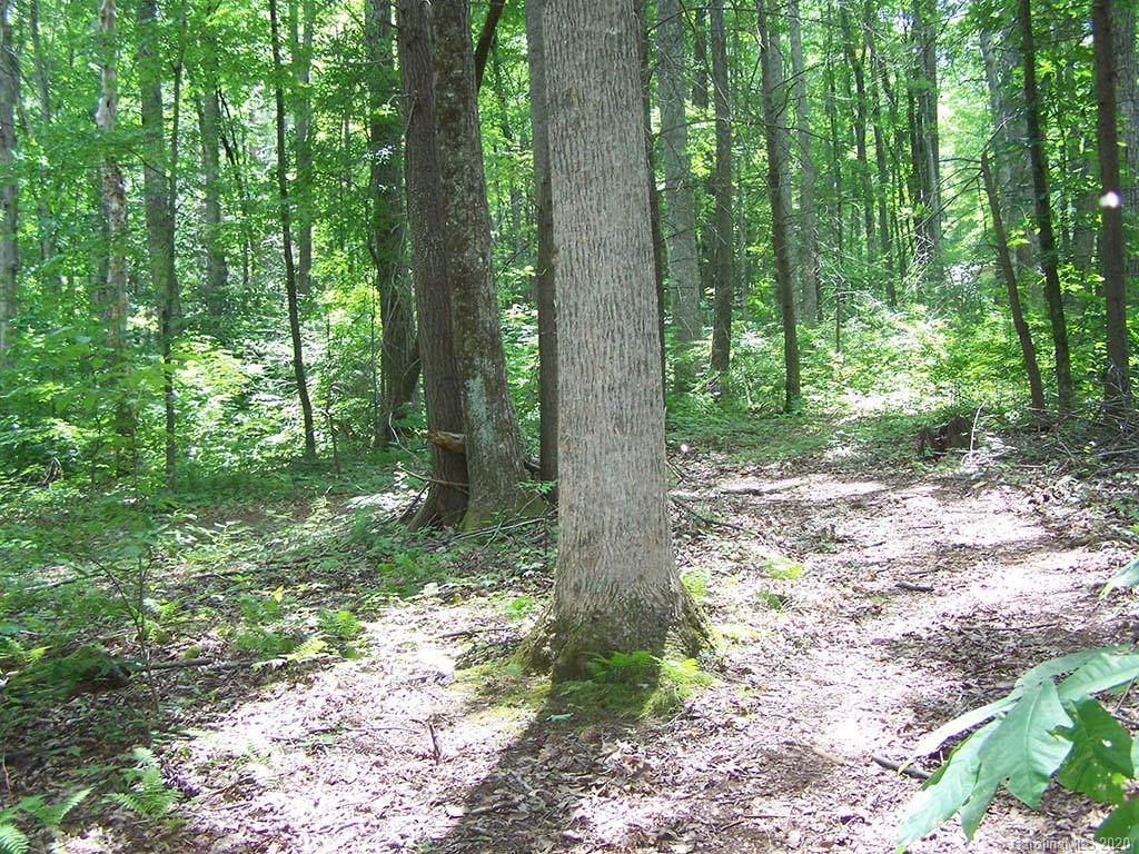 000 Timberline Drive - Photo 1