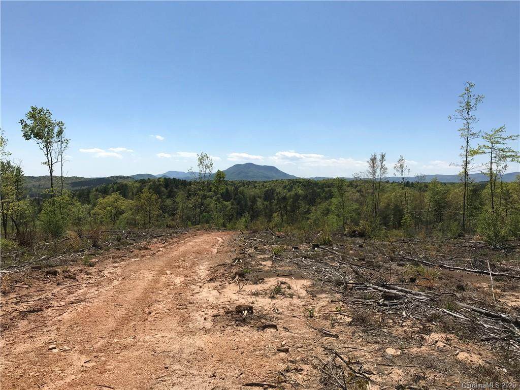 40 Ac Womack Road - Photo 1