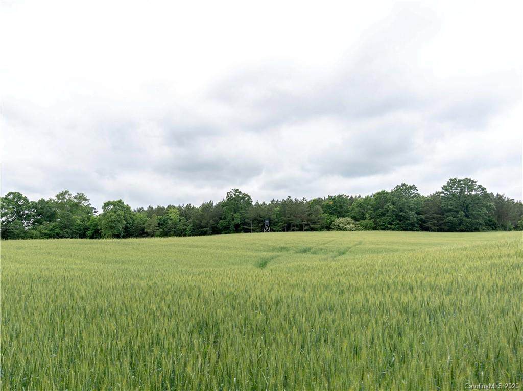 00 Mineral Springs Church Road - Photo 1