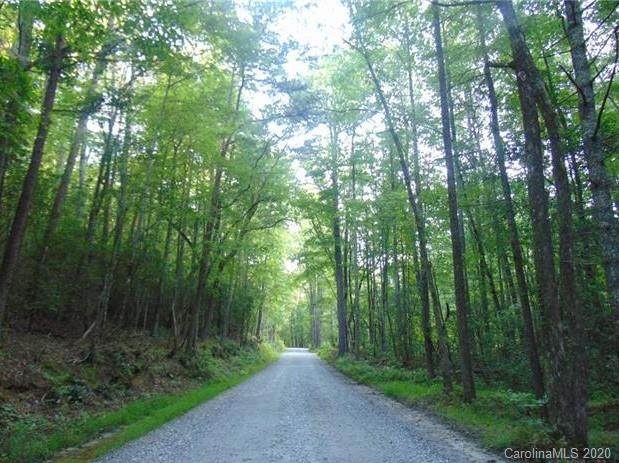 Lot 9 Gaston Bee Gum Road - Photo 1
