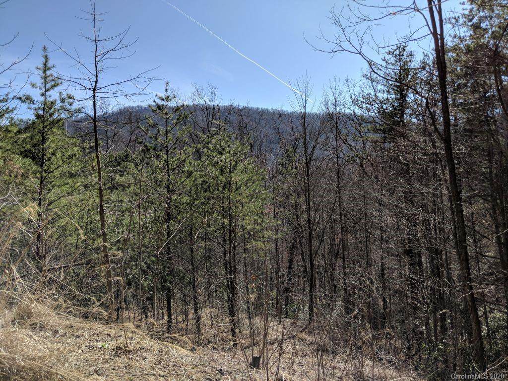 Lot C-2 94 Trillium Lane - Photo 1