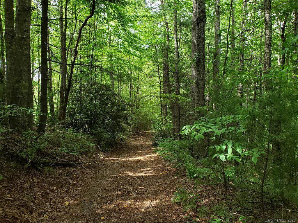 0 Deer Park Lake Road - Photo 1
