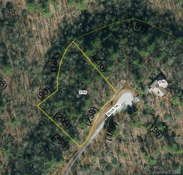 8749 Buck Trail - Photo 1