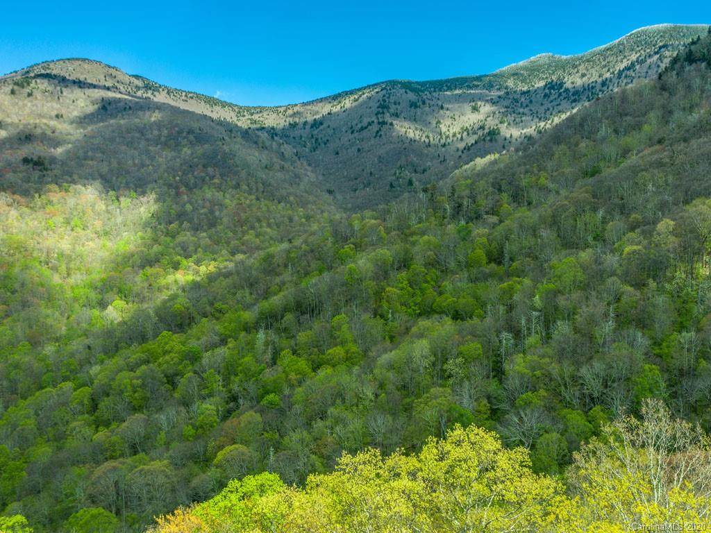 00 Ogles Gap Road - Photo 1 00 Ogles Gap Road - Photo 1