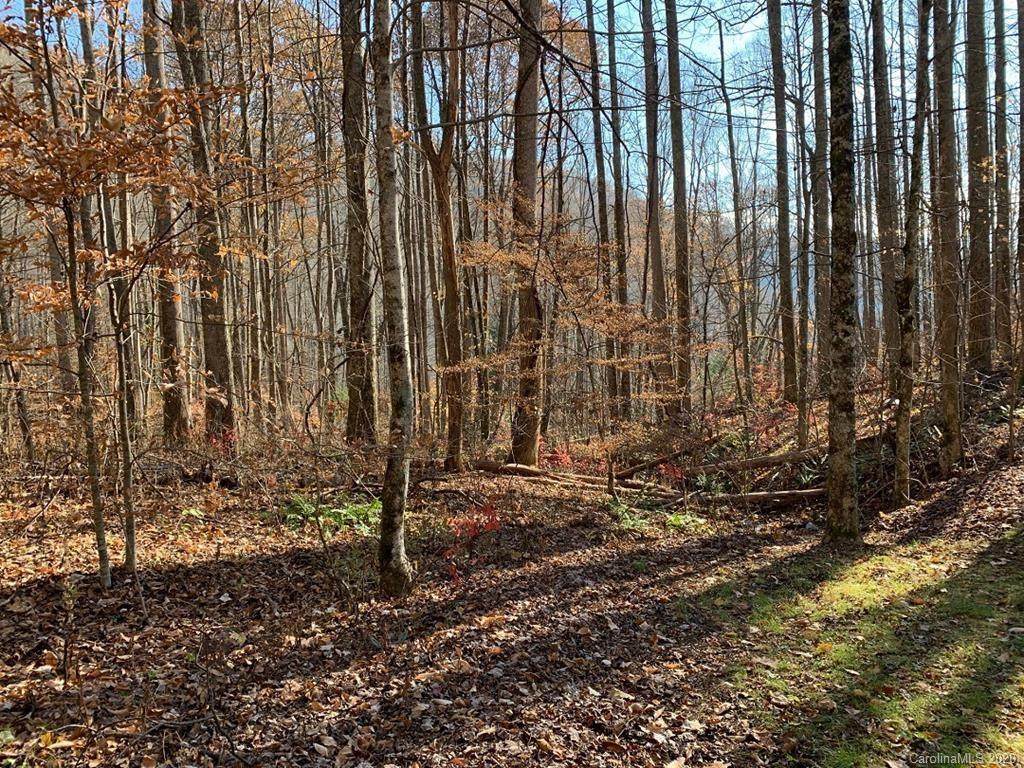 Lot #18 Kingfisher Lane - Photo 1