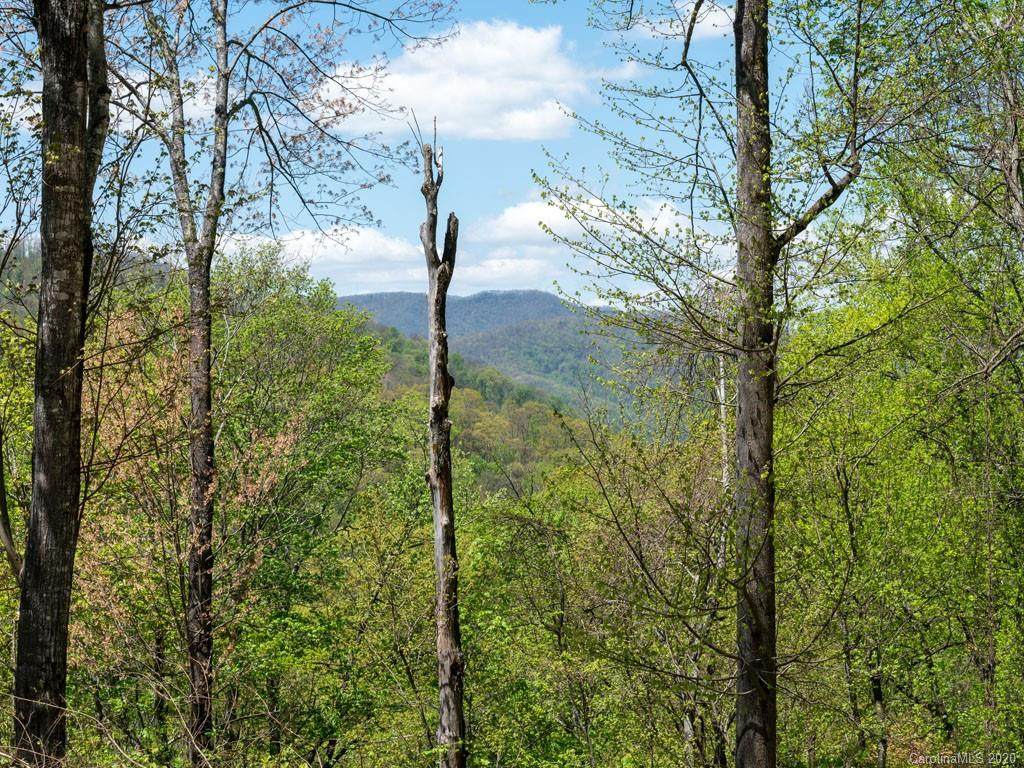 00 Maple Springs Road - Photo 1 00 Maple Springs Road - Photo 1