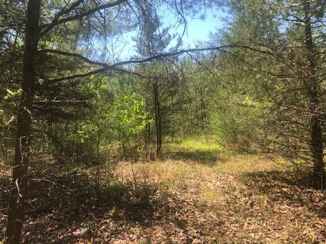 TBD Dug Hill Road - Photo 1