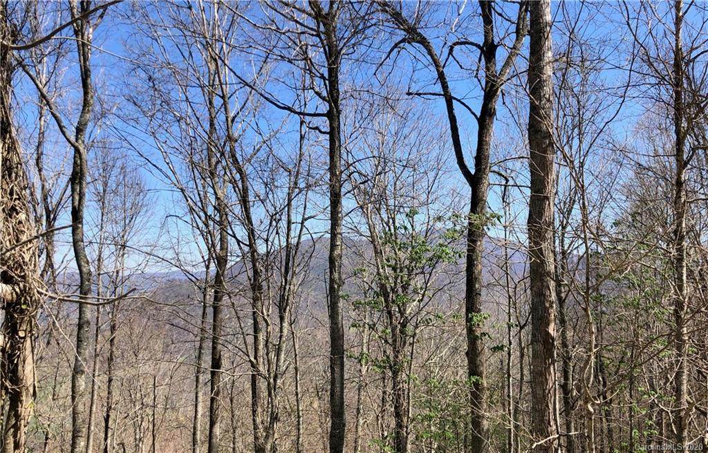 0 Locust Gap Road - Photo 1
