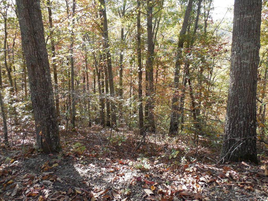 Lot #2 Fullwood Lane - Photo 1