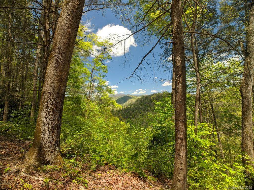Lot 90 Bear River Lodge Trail - Photo 1